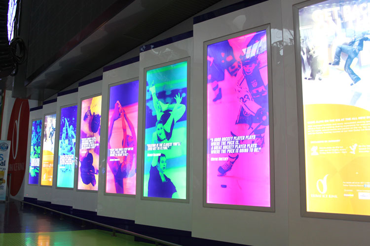 Dubai Mall Ice Ring renovation